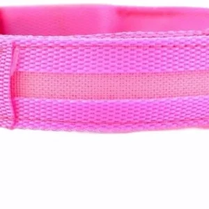 Lichtgevende Halsband LED - USB Oplaadbaar Hondenhalsband Puppy Riem - Roze Hond Dog Kat Kitten Cat