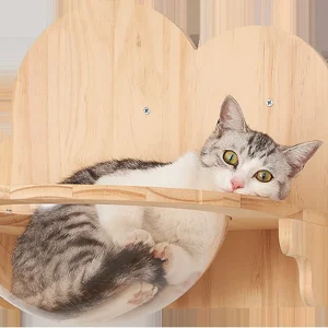 Katten klimmuur - Kattenkom en plateau