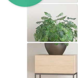 Plakspiegel - 4 stuks - Zelfklevende