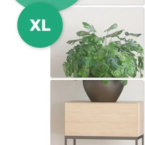 XL Plakspiegel - 4 stuks - Rechthoek - Zelfklevende